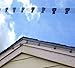 Bird-X Deterrent Netting Hardware, Plastic Clips, 250 Pieces (MTG-CASE)
