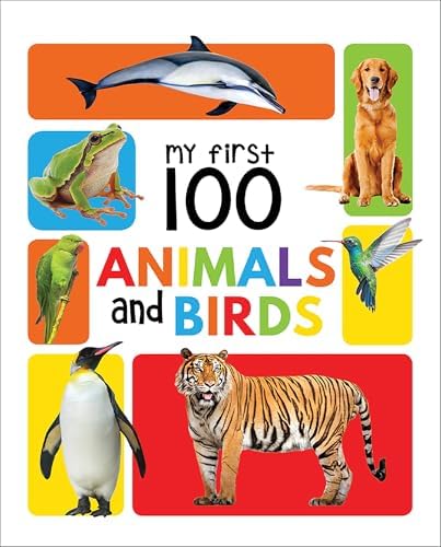 Amazon.com: 100 First Things to Know: 9780241397282: DK: Books