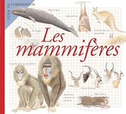 Les  mammifères