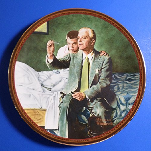 Edwin M Knowles China Company ** Norman Rockwell: The Ones we Love- "The Country Doctor" #7 (1990) ** 84-R70-13.7