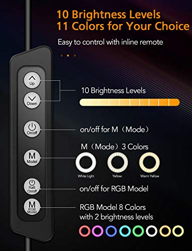3 Dimmable+YouTube+Self+Portrait+Desktop+Smartphone