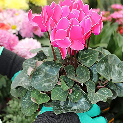 4 Gardening+Claws%25EF%25BC%25882019+Upgrade%25EF%25BC%2589+Waterproof+Breathable