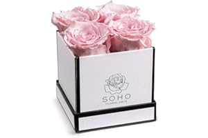 Soho Floral Arts | Preserved Flower Roses in A Box | Genuine Fresh Preserved Roses that Last for Years | Christmas Gift | Mothers Day Gifts (White Square 4ct, Pink)