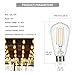 Dimmable LED Edison Bulb E26 Base 60 Watt Equivalent 2700K Warm White Filament Light Bulb 800Lm High CRI Clear Brightness Vintage Bulb for Pendant Lamp 4-Pack