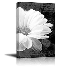 Up Close with a Daisy on a Black and White Vintage Portrait - Canvas Art Home Art - 12x18 inches