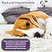 Primo Pup Vet Health - Calming Chewables - Stress Support for Dogs with Chamomile & L-Tryptophan – Veterinarian Developed for Maximum Absorption - 90 Ct