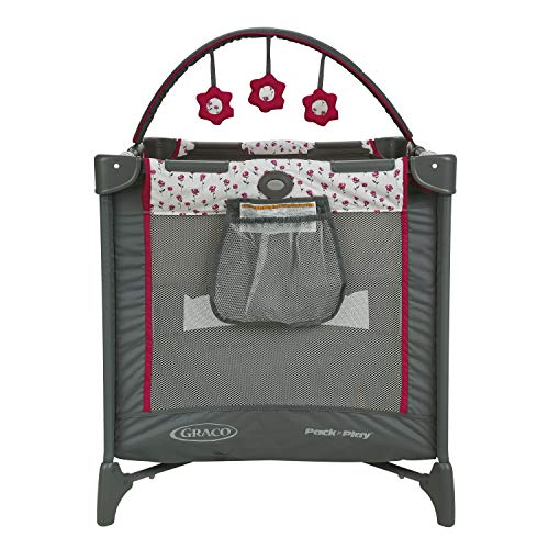 graco pack n play amory