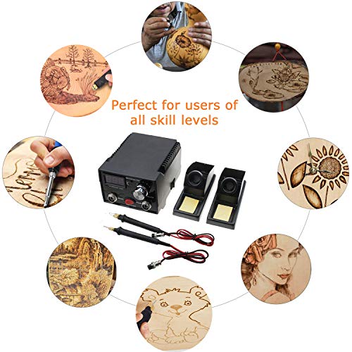Slsy Professional Wood Burning Machine, Dual Pen 110V Pyrography ...
