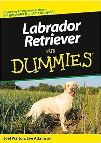 Labrador Retriever Für Dummies Amazonde Joel Walton Eve - 
