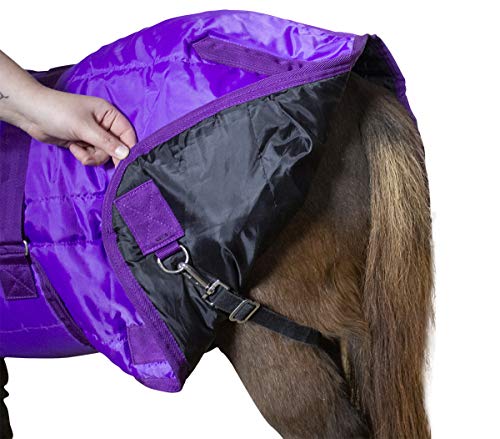 4 Derby+Originals+Windstorm+Breathable+Exterior