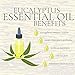 Hand Care Treatment Cream Callus Repair By WOD Welder (16 oz) - For Fitness Athletes, Gymnastics, Weightlifters, and Rock Climbing - Heals Rips and Tears, Speeds Recovery - Essential Oils