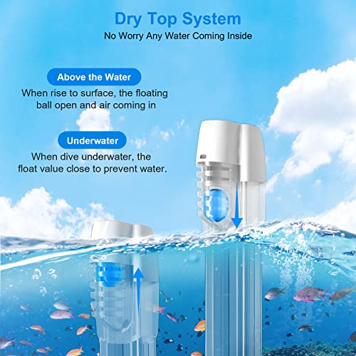 lynker Maschera Subacquea, Maschera Snorkeling con Visuale Panoramica 180° Design Pieno Facciale, Compatibile con Videocamere Sportive Maschera Anti-Appannamento Impermeabile Anti-Perdite per Adulti