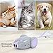 DADYPET Interactive Robotic Cat Toy, Mouse Shape Automatic Irregular Moving USB Rechargeable Electronic Toy with 5 Replacement Feathers for Kitten, All Floors Available