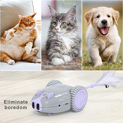DADYPET Interactive Robotic Cat Toy, Mouse Shape Automatic Irregular