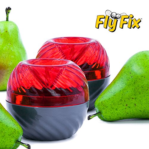 FlyFix Fruit Fly Trap (Reusable) (2, Red/Gray)