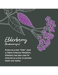 Jarabe Gaia Hierbas Negro Elderberry, 1, 1