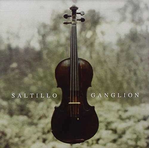 Saltillo - Grafting Lyrics - Zortam Music