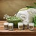 Aromama Scented Candles, Natural Soy Wax Aromatherapy Glass Candle Gift Set, Jasmine, Lotus, Lilac, Gardenia, Rose, Vanilla, Pack of 6
