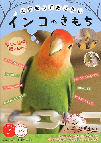 必ず知っておきたい インコのきもち 幸せな関係を築くために コツがわかる本 松本 壯志 本 通販 Amazon