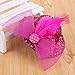 Tbestmax 12 Mini Hat Hair Clips Tea Party Hats Fascinator Clip for Women Lady Favor Decorative Hair Accessories with Polka Dot Feather Ribbon and Netting