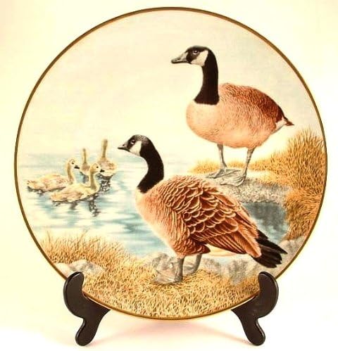 Danbury Mint water bird plate from the Sumner Collection - Canada Goose - CP803