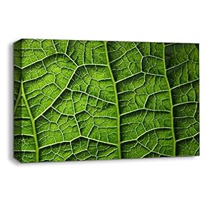Canvas Wall Art Leaf Veins Pictures Home Wall Decorations for Bedroom Living Room Paintings Canvas Prints Framed - 12x18 inches