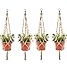 Accmor 4 Pack Plant Hanger 4 Legs 3.3 ft with Beads and Ring, Strong Handmade Jute Indoor Outdoor Patio Deck Ceiling Plant Holder for Round Square Pots, Retro Feeling Unmatched Finesse