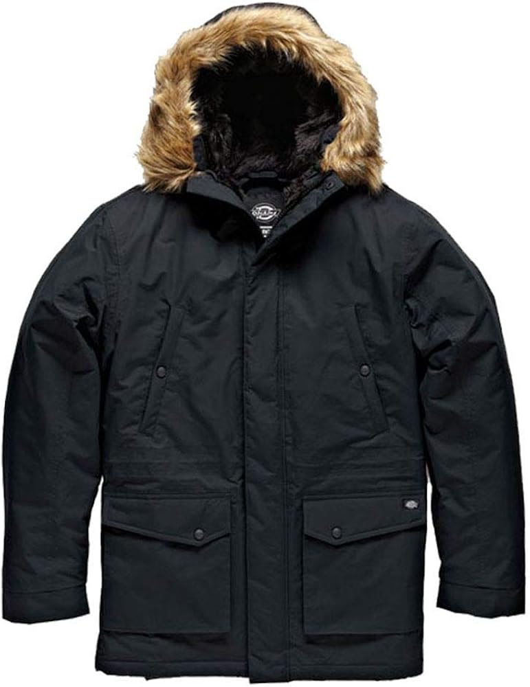Dickies Curtis Jacket Black Men 