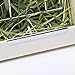 CalPalmy Hay Feeder/Rack - Ideal for Rabbit/ChinChilla/Guinea Pig - Keeps Grass Clean & Fresh/Non-Toxic, BPA Free Plastic/Minimizing Waste/Mess