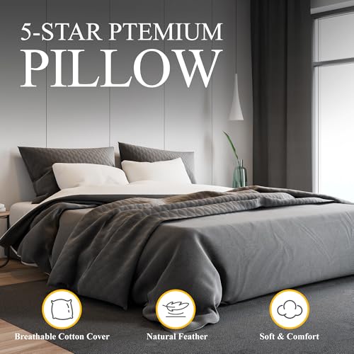 Orange Wave Duck Feather and Down Pillow – Luxury Hotel Quality Bed Pillow with Soft Medium Support,Hypoallergenic,Machine Washable,Ideal for Back & Side Sleepers,Standard (Pack of 1)