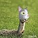 Mcphee Accoutrements Hilarious Hanging Hollow Cat Head Squirrel Feeder