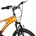 Diamondback Bicycles Cobra Kid's Mountain Bike, 20