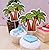 Various Fun Designs of Tropical Coconuts/Hibiscus Cupcake Toppers for Birthday/Events/Party sets of 12...