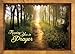 Peaceful Pathways - KJV Scripture Greeting Cards - Boxed - Encouragement 4 designs, 12 cards