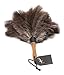 Avian Ostrich Feather Duster with Bamboo Handle