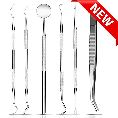 Dental Tools, Dental Pick Plaque Remover, Dental Scaler, Dental Floss, Teeth Cleaning Dental Hygiene Kit - 6 PACK (Silver)