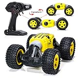 EXERCISE N PLAY RC Car Off-Road Vehicles Rock Crawler 2.4Ghz Remote Control Car Monster Truck 4WD Dual Motors Electric Racing Car, Kids Toys RTR Rechargeable Buggy Hobby Car Transform Car
