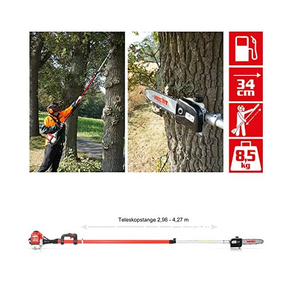 HECHT Benzin Hochentaster Teleskopsäge Motorsäge mit 26 ccm Hubraum, 34 cm Schwert und Teleskobstange bis zu 4,27 m… – Bild 4