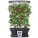 AeroGarden Mega Cherry Tomato Seed Pod Kit (7 pod)