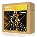 MAOYUE Outdoor Christmas Decorations Waterproof 335 LED Star Lights 8 Lighting Modes Christmas Lights Outdoor Decoration Lights for Yard, Christmas, New Year, Wedding, Party (Warm White)