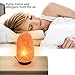 Salt Lamp, SKYROKU Himalayan Crystal Rock Lamp Hand Carved Natural with Wooden Base UL-Approved Cord Dimmer Control and Bulb (1 Pack)