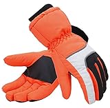Simplicity Men's 3M Thinsulate Lined Waterproof Snowboard / Ski Gloves
