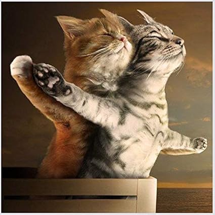 Yscolor Diamond Painting Diamant Peinture Animaux Dessin Anime Diy Point De Croix Kits Diamant Mosaique Titanic Chat Cristal Broderie Couture 30x30cm Amazon Fr Cuisine Maison