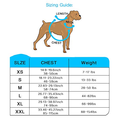 Dog Harness and Dog Leash Set No Pull Pet Harness Adjustable Vest Harness Dog Leash Puppy Harness Night-light Dog Pet Harness with Soft Mesh Nylon Dog Chest Harness for Small Medium Large Dogs Cat (L) - Thumbnail 5