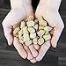 Stella & Chewy's Freeze-Dried Raw Cat Dinner Morsels - Premium Turkey Recipe with 98% Farm-Raised Meat & Organs - Natural Grain-Free Cat & Kitten Food - Made in USA - 18 oz