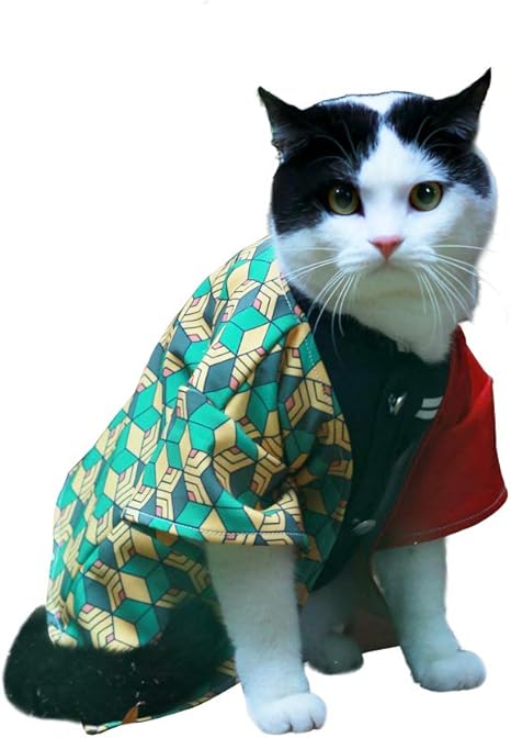 Amazon Com Jsvde Pet Costume Cat Small Dog Cosplay For Anime Demon Slayer Kimetsu No Yaiba Small Tomioka Giyuu Kitchen Dining jsvde pet costume cat small dog cosplay for anime demon slayer kimetsu no yaiba small tomioka giyuu