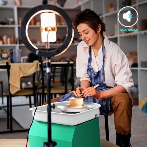 VAYOTOY Electric Ceramic Lathe 25 cm Ceramic Wheel with Manual Handle and Foot Pedal 350W Motorized Electric Ceramic Wheel Machine 300RPM Electric Pottery Lathe DIY Crafts
