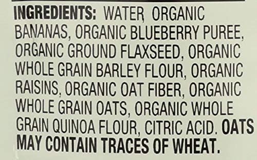 EARTHS BEST BABY POUCH BLUEBERRY BANANA, 4 OZ
