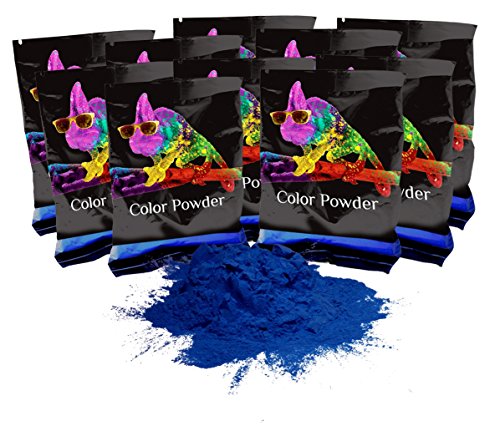 Holi Color Powder Navy Blue 10 Pack of 70 Grams Each