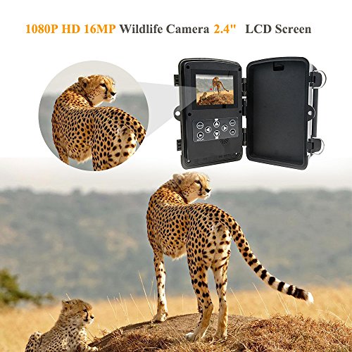 TOP-MAX 1080P 16MP Trail Camera,Digital Wildlife Hunting Game Camera -Waterproof Trail Cam with 120° PIR Sensor/No Glow Infrared Night Version/Motion Activated for Wildlife and Home Security - Thumbnail 3